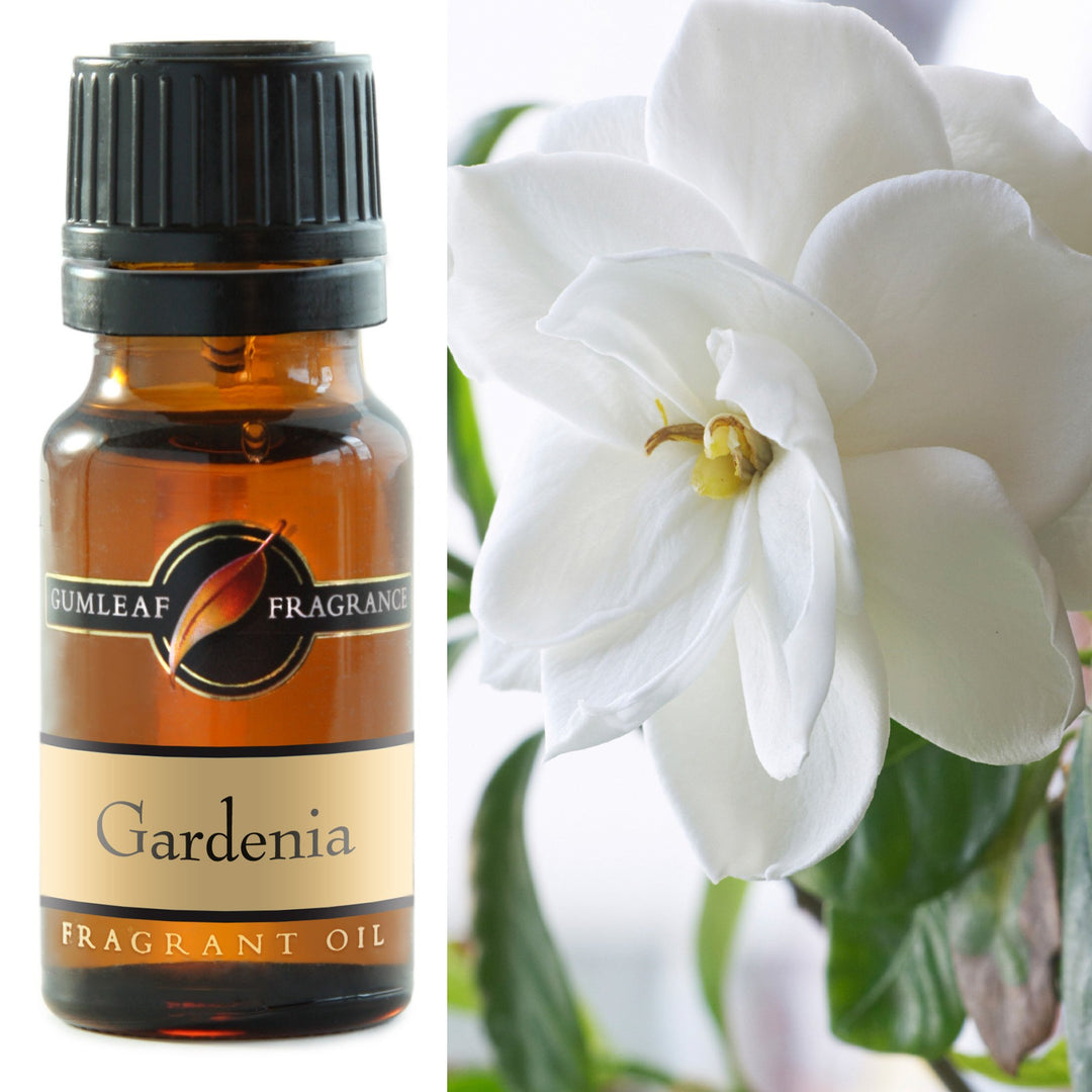 Fragrant Oil Gumleaf Gardenia 10ml