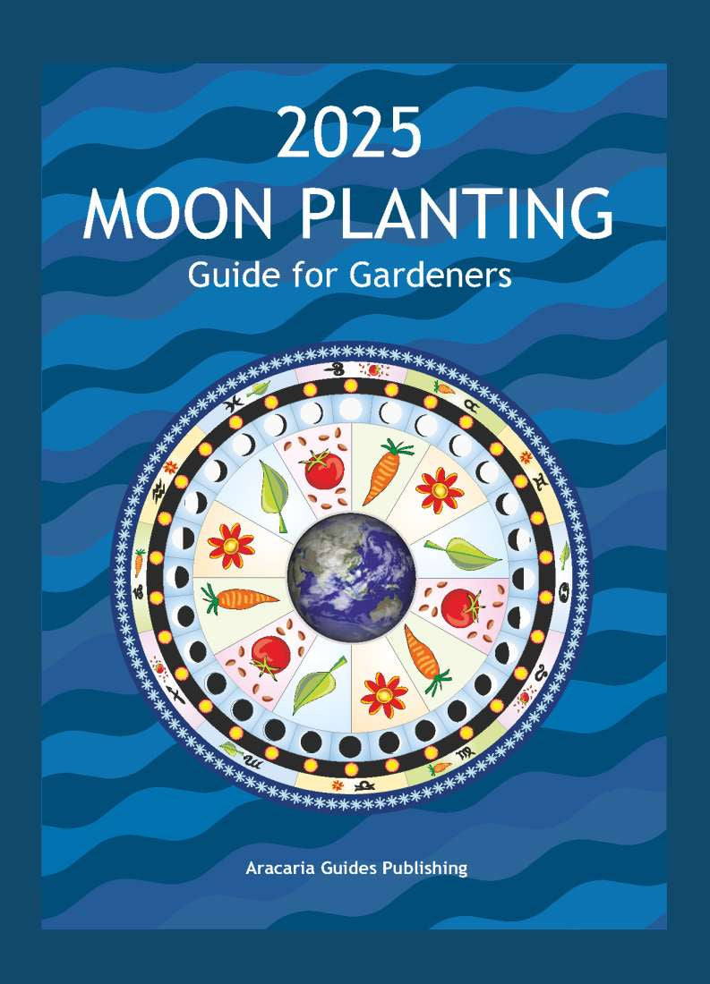 2025 Moon Planting Guide for Beginners