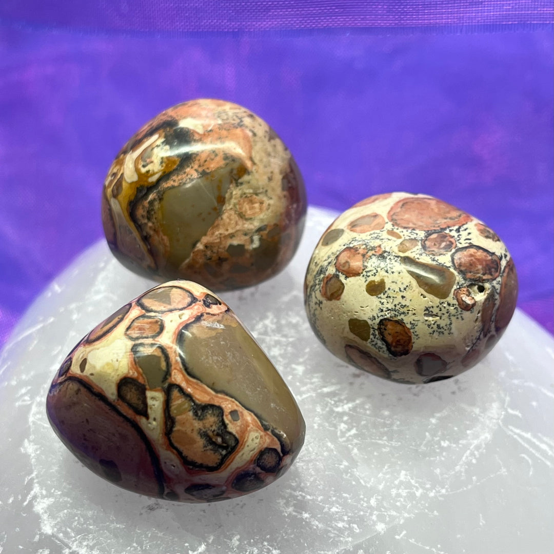 Jasper Leopard Skin Tumble Shamanic