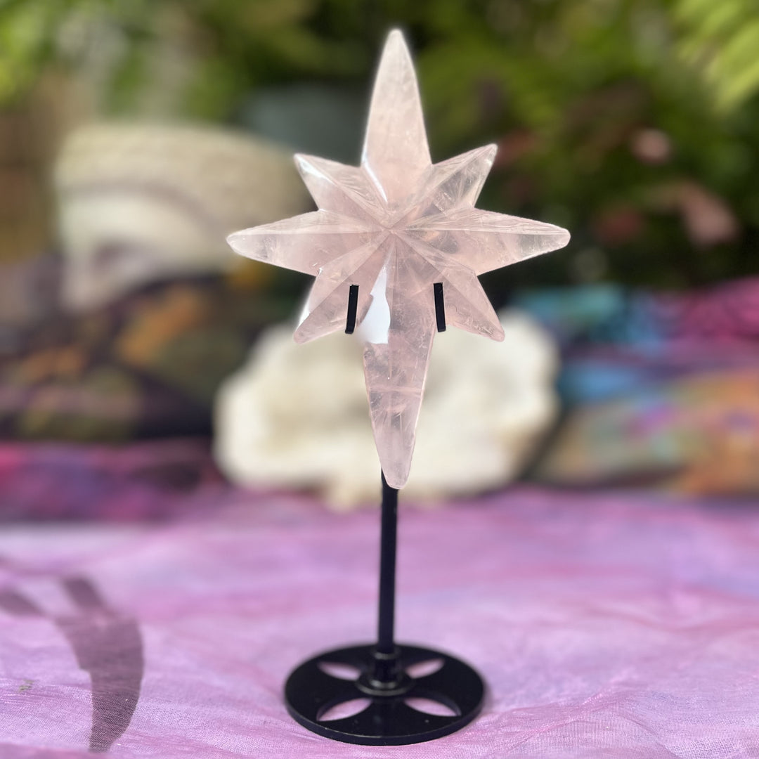 North Star Rose Quartz on Stand 14 cm | Carpe Diem With Remi