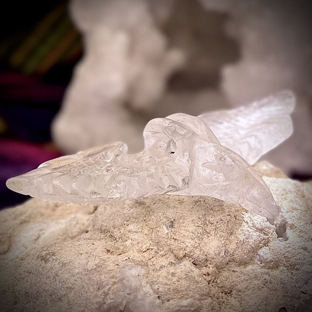 Raven Skull Winged Clear Quartz