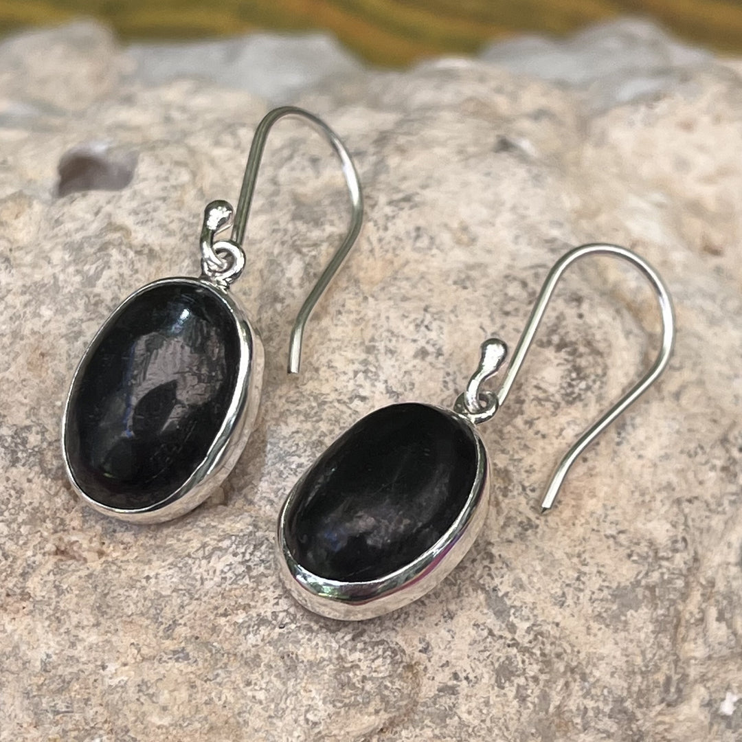 Earrings Shungite Oval Blue Turtles Was $110