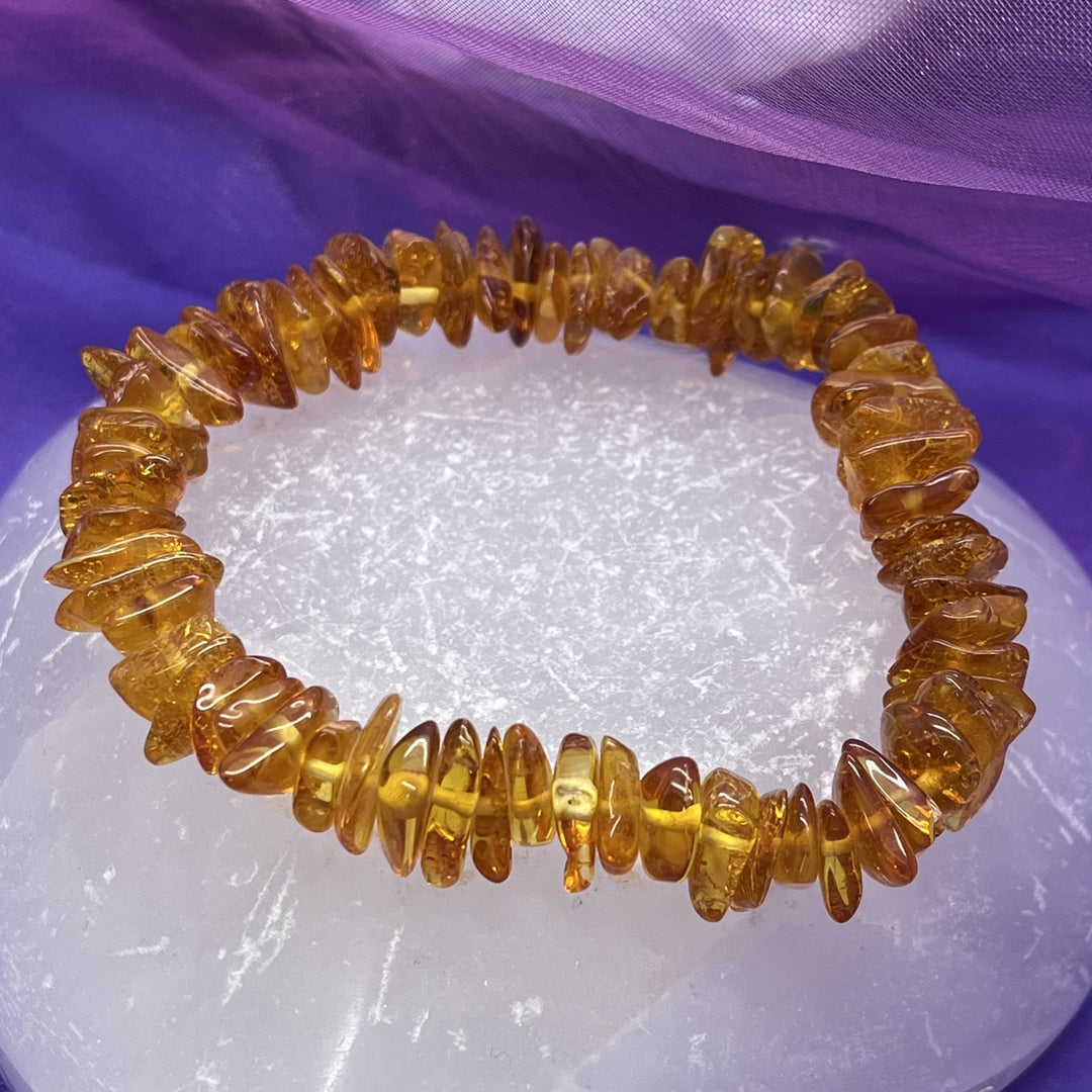 Bracelet Amber Adult Baltic Assorted