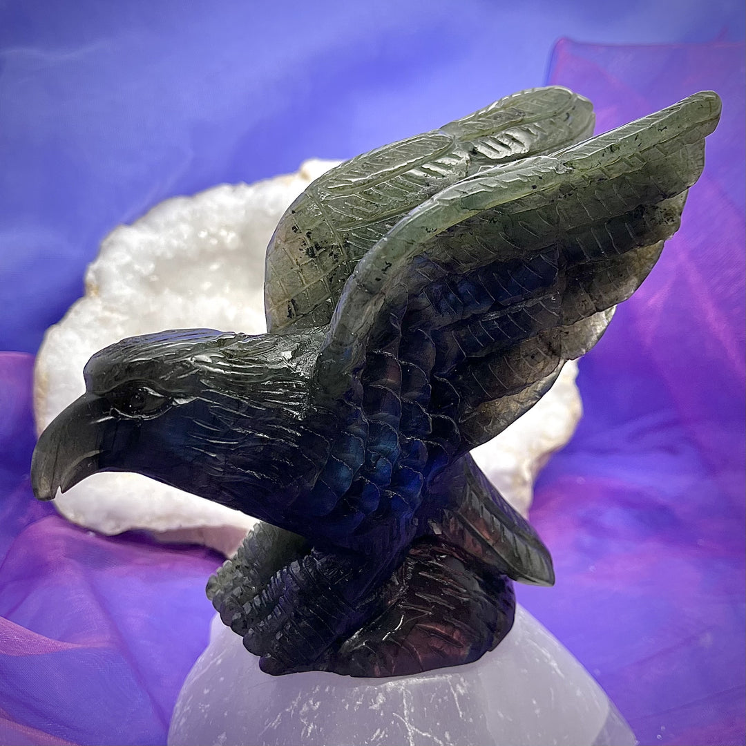 Labradorite Eagle 12.3 cm