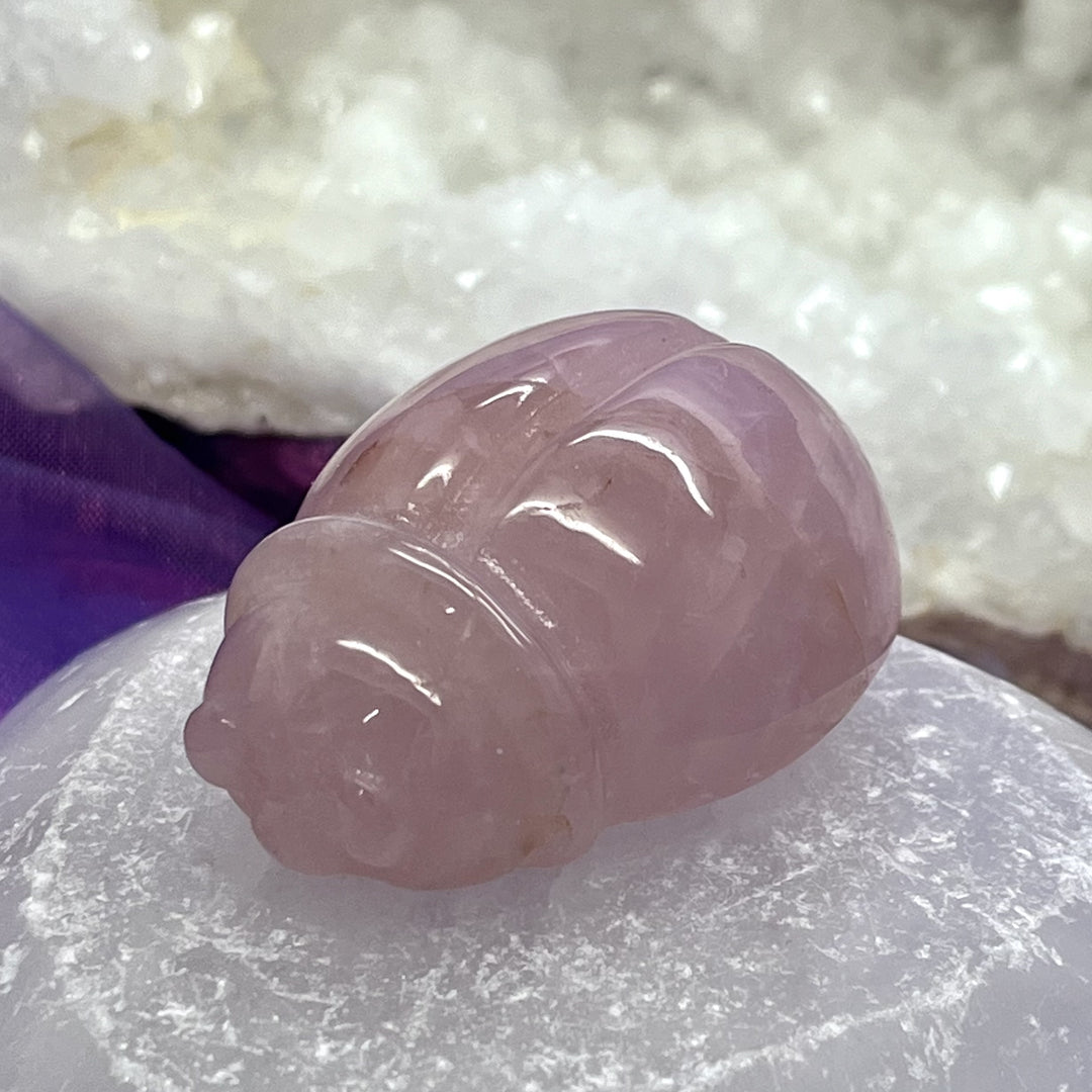 Scarab Beetle Rose Quartz Large