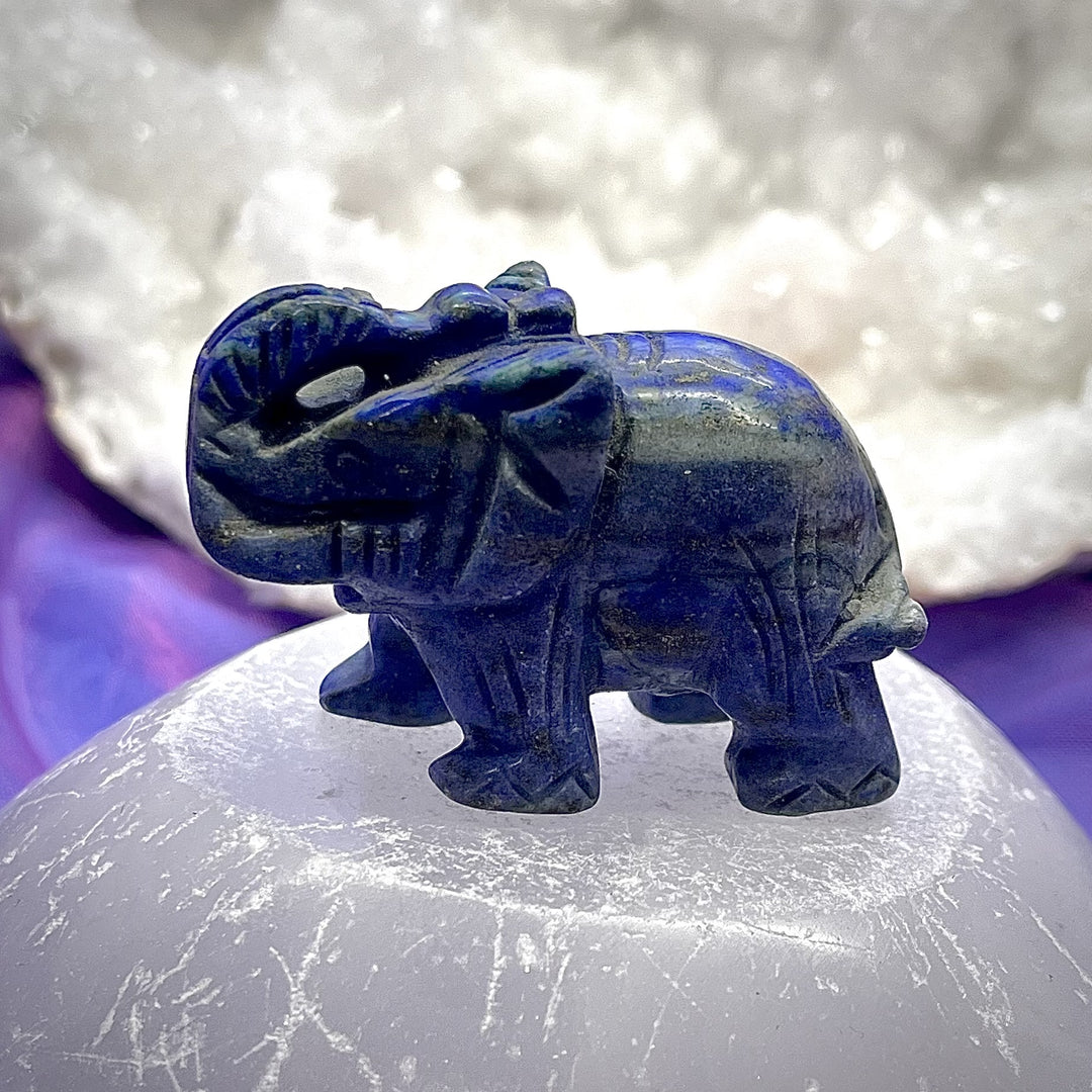 Elephant Lapis 5 cm