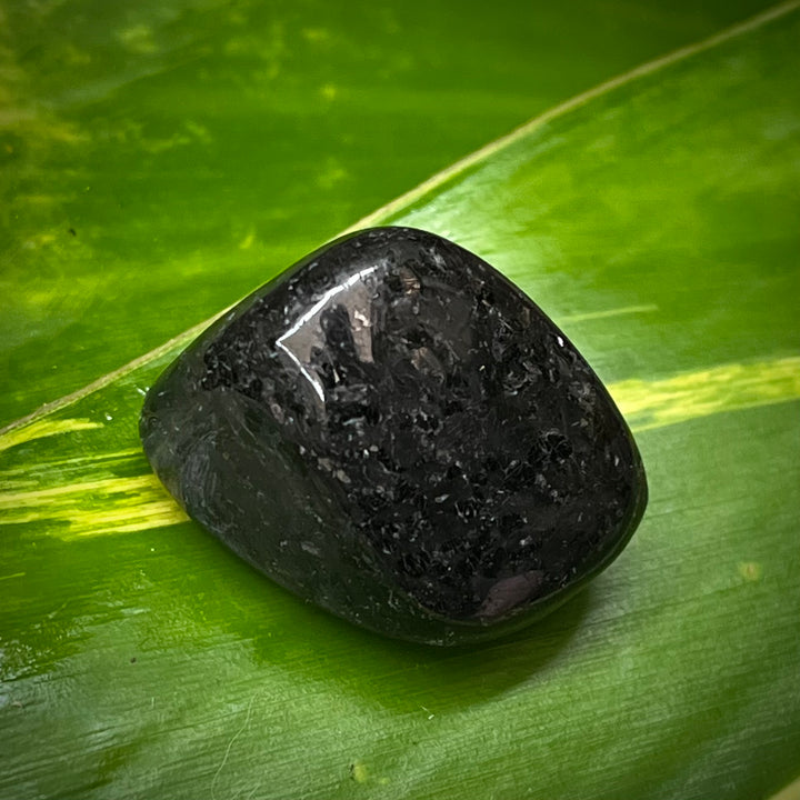 Nuummite Tumble Stone | Carpe Diem With Remi