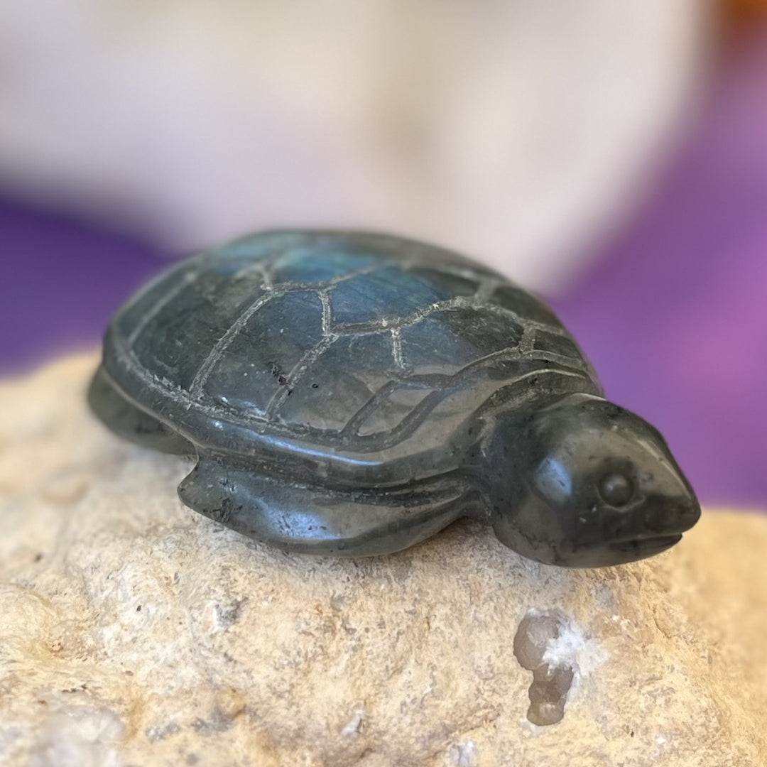 Turtle Blue Labradorite 7.7 cm