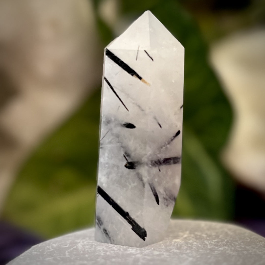 Point Tourmaline in Quartz 5.6 cm