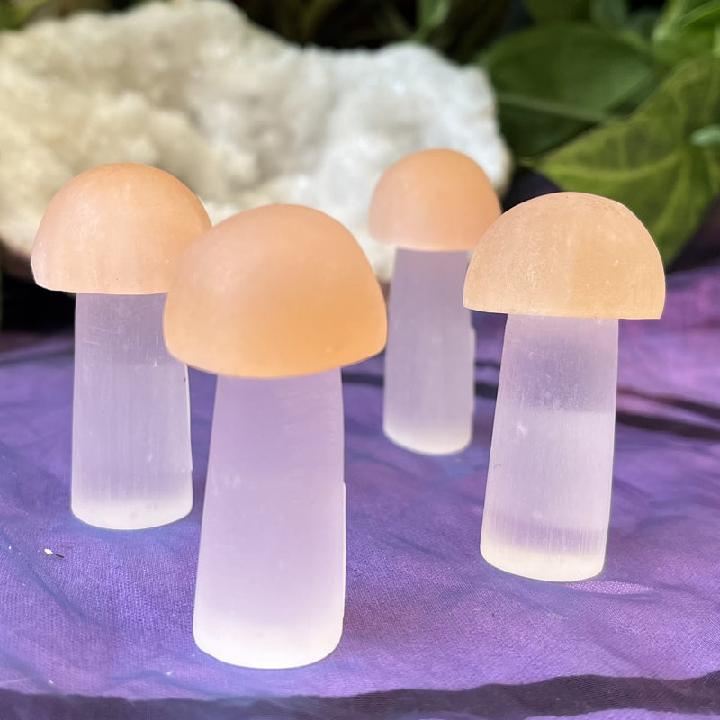 Mushroom Selenite 5.8 cm