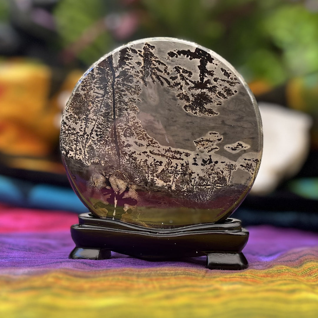 Picture Jasper Scene on Stand Dark Forest | Carpe Diem With Remi