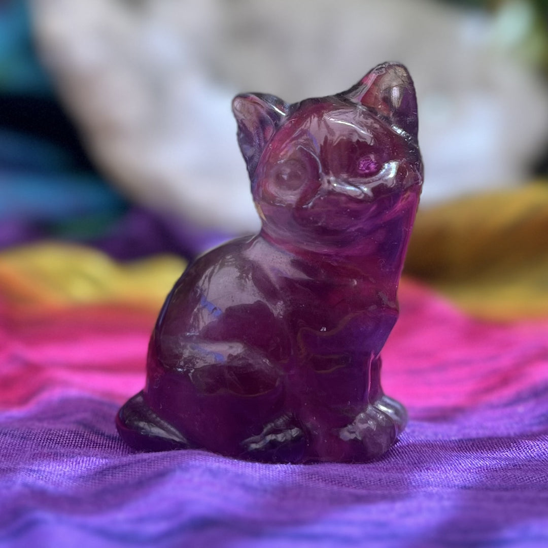 Cat Purple Fluorite 5.6 cm