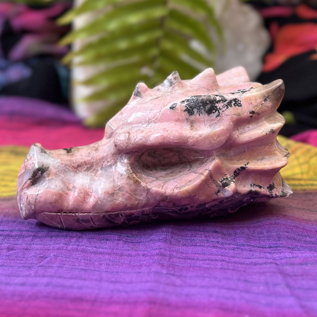 Dragon Head Rhodonite