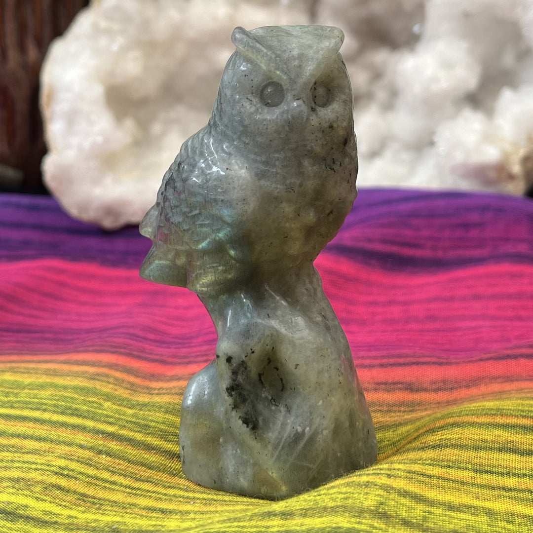 Owl Labradorite 8.1 cm