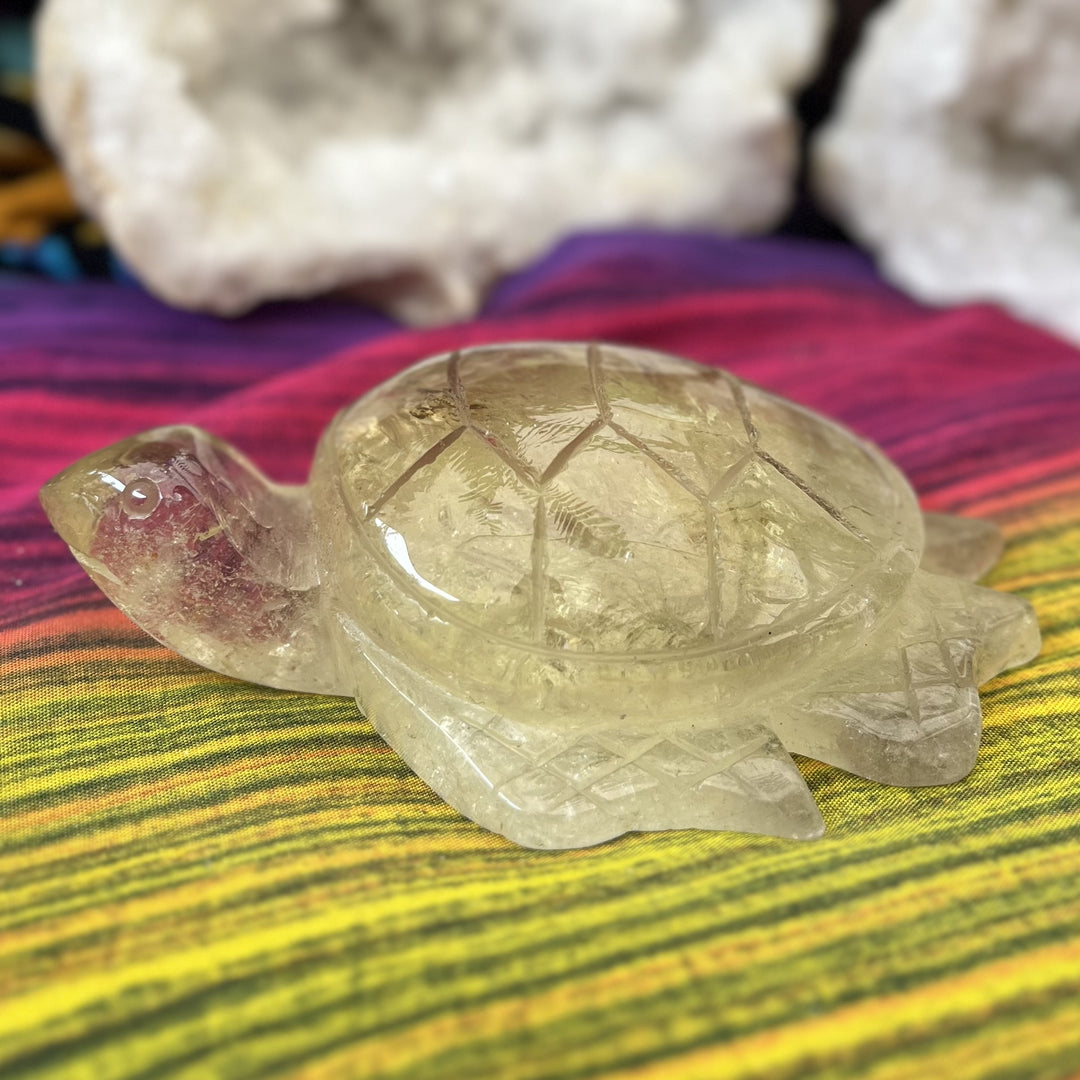 Turtle Citrine 13.4 cm