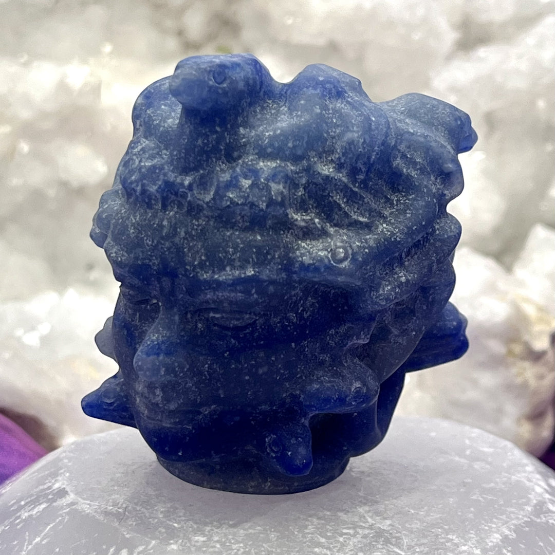 Medusa Sodalite Head Small