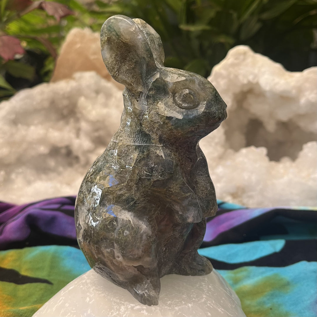 Bunny Moss Agate Druzy 11.8 cm