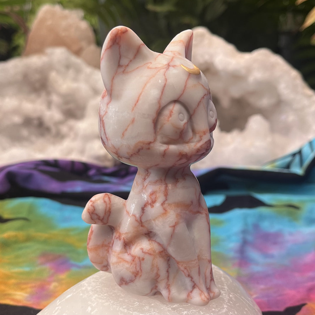 Cat Red Spiderweb Jasper Luna from Sailor Moon