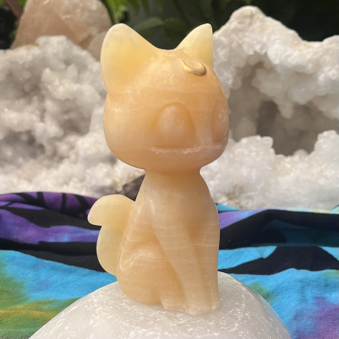 Cat Golden Calcite Luna from Sailor Moon