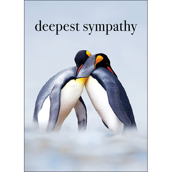 Deepest Sympathy Penguin Card