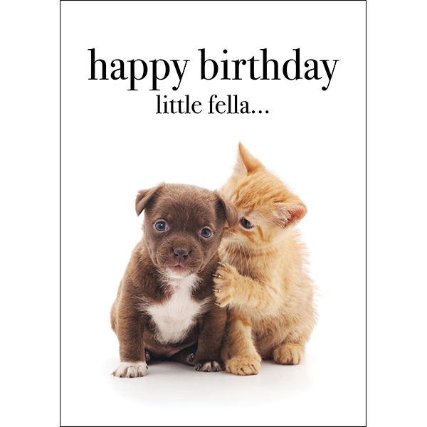 Happy Birthday Little Fella Card