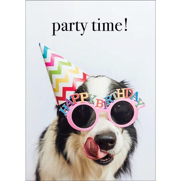 Party Time Dog Birthday Card