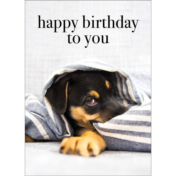 Little Pup Birthday Card