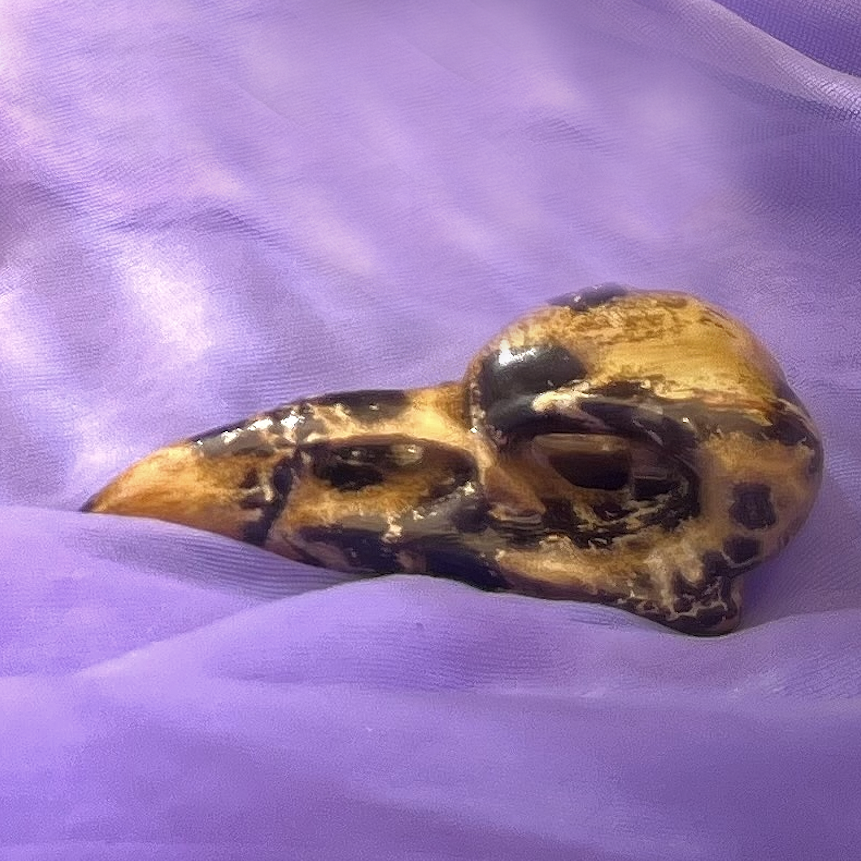 Raven Head Picture Jasper 8.0 cm