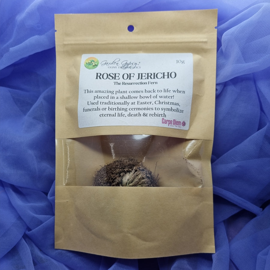 Herb Rose of Jericho 10g | Carpe Diem With Remi