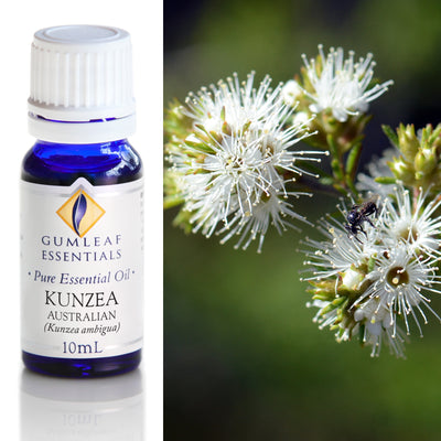 Kunzea Essential Oil 10 ml | Carpe Diem With Remi