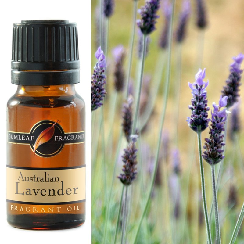 Fragrant Oil Gumleaf Australian Lavender | Carpe Diem With Remi