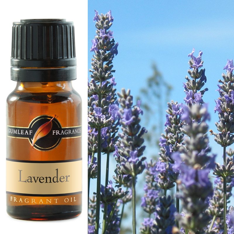 Fragrant Oil Gumleaf Lavender | Carpe Diem With Remi