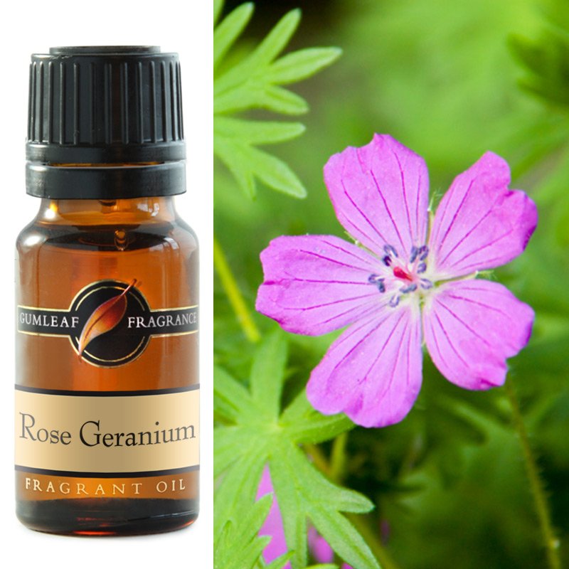 Fragrant Oil Gumleaf Rose Geranium | Carpe Diem With Remi