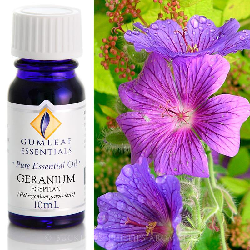 Geranium Egyptian Essential Oil Gumleaf 10 ml | Carpe Diem With Remi