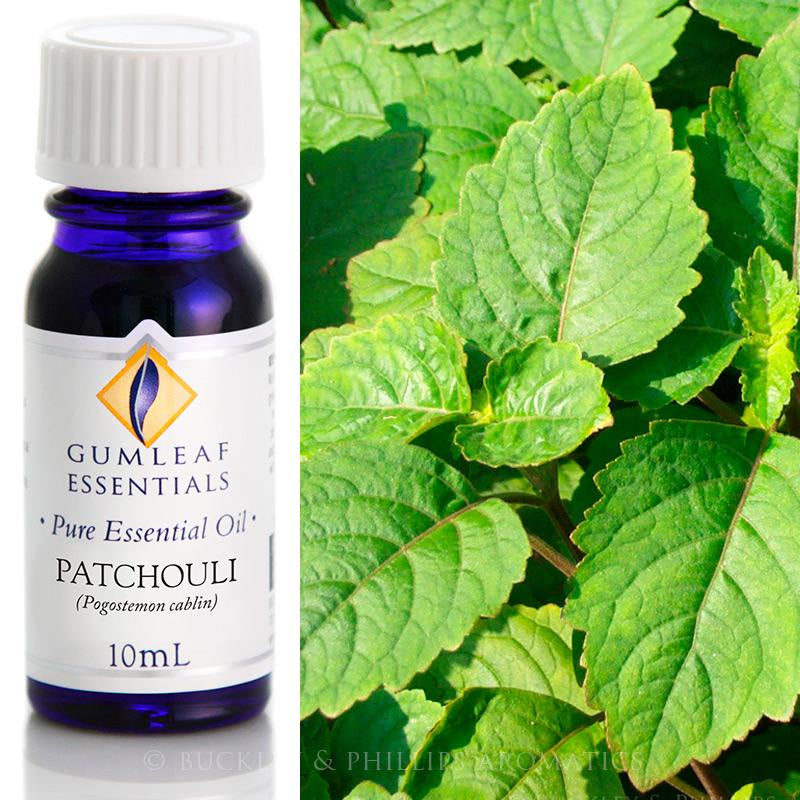 Patchouli Essential Oil Gumleaf 10 ml | Carpe Diem With Remi