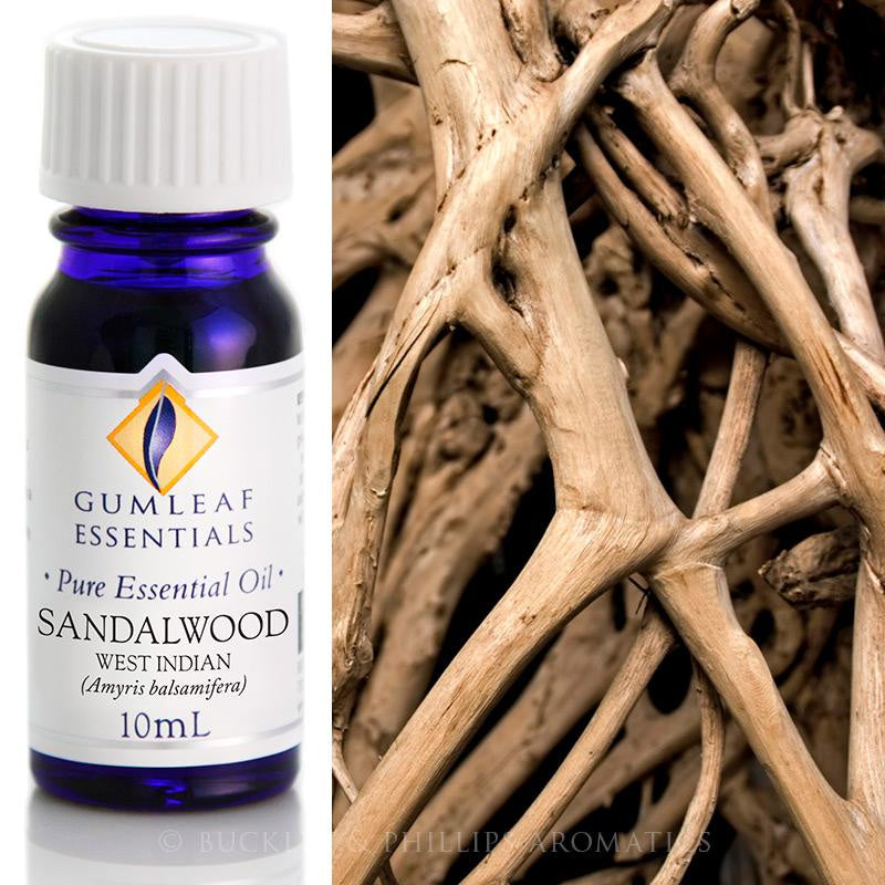 Sandalwood West Indian Essential Oil Gumleaf 10 ml | Carpe Diem With Remi