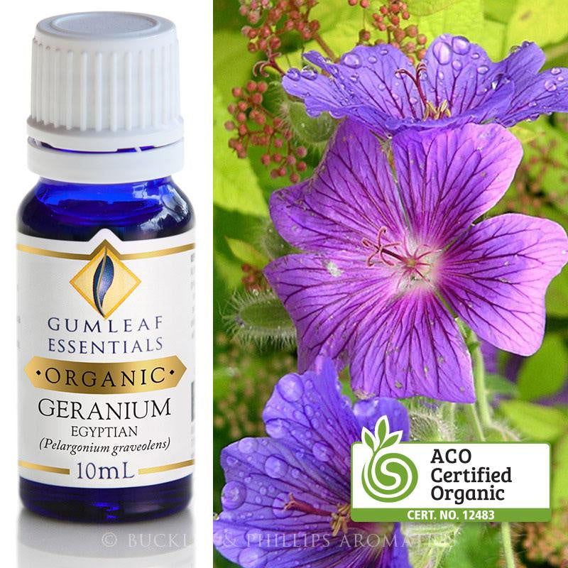 Geranium Organic Essential Oil Gumleaf | Carpe Diem With Remi