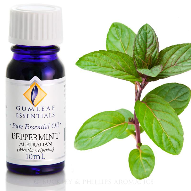 Peppermint Essential Oil Gumleaf 10 ml | Carpe Diem With Remi