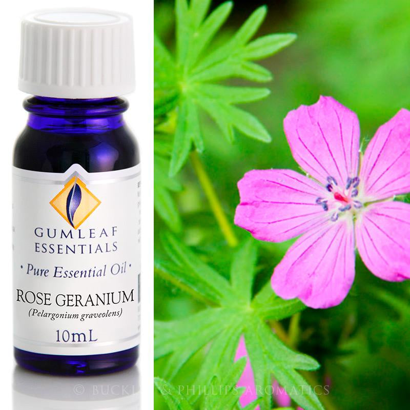 Rose Geranium Essential Oil Gumleaf 10 ml | Carpe Diem With Remi