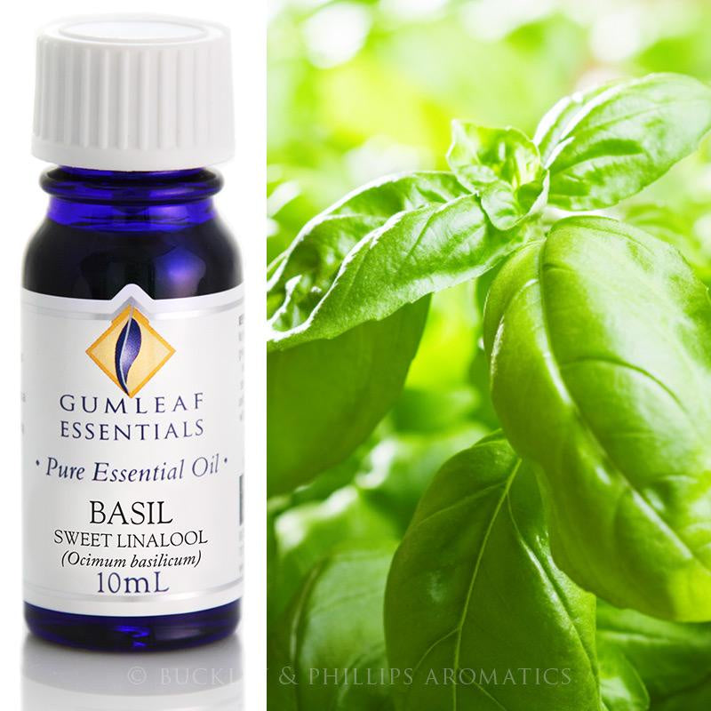 Basil Essential Oil 10ml Gumleaf | Carpe Diem with Remi