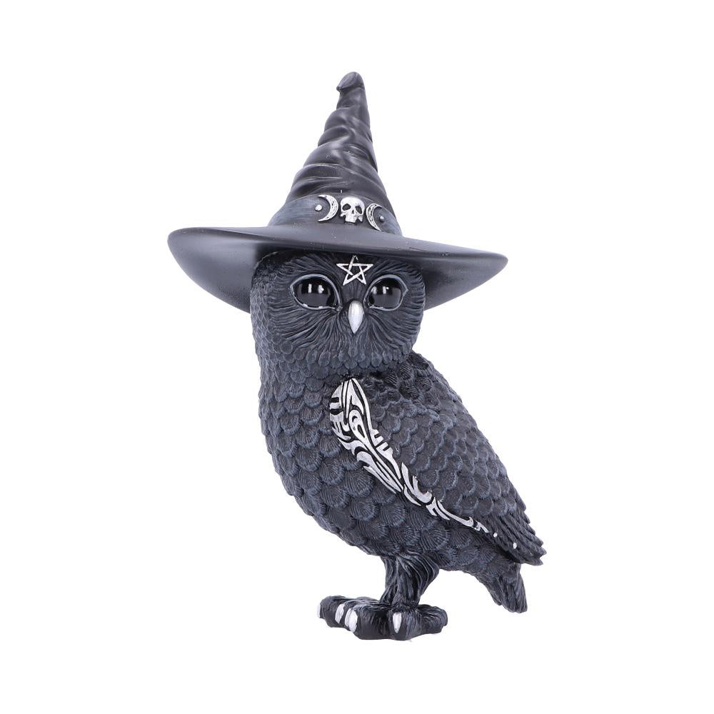 Owl in Hat Owlocen Statue 13.5cm