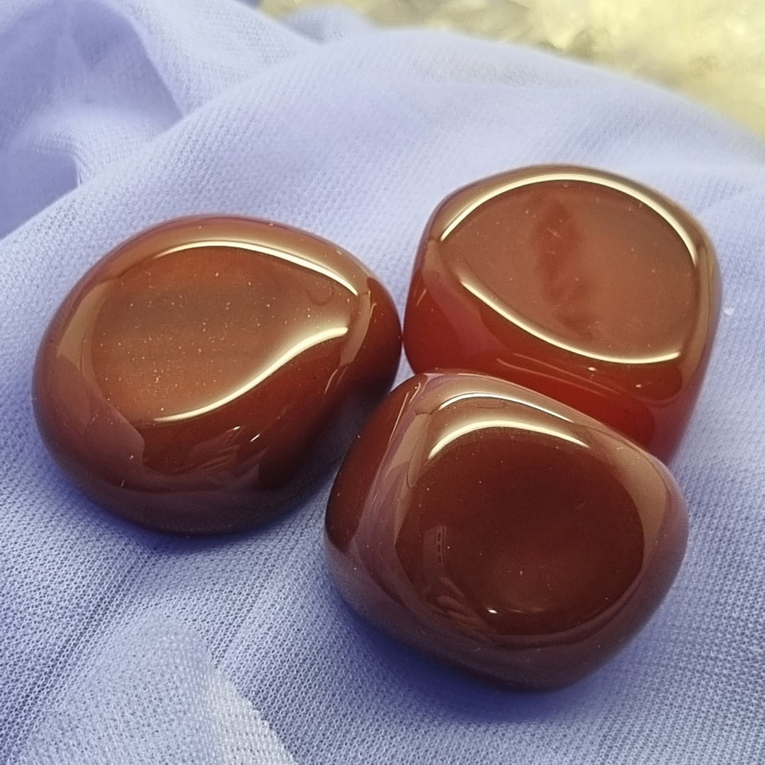 Carnelian Tumbled  | Carpe Diem with Remi