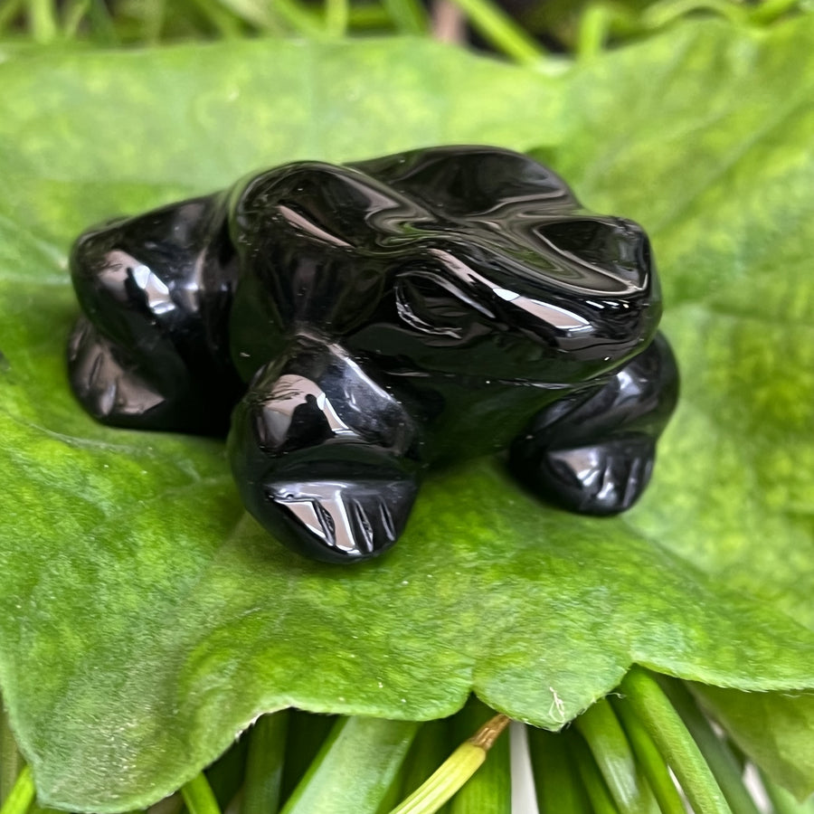 Frog Black Obsidian Carving 4.7 cm | Carpe Diem With Remi