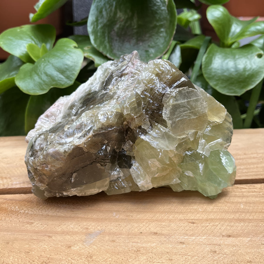 Green Calcite Raw 15.5 cm | Carpe Diem With Remi