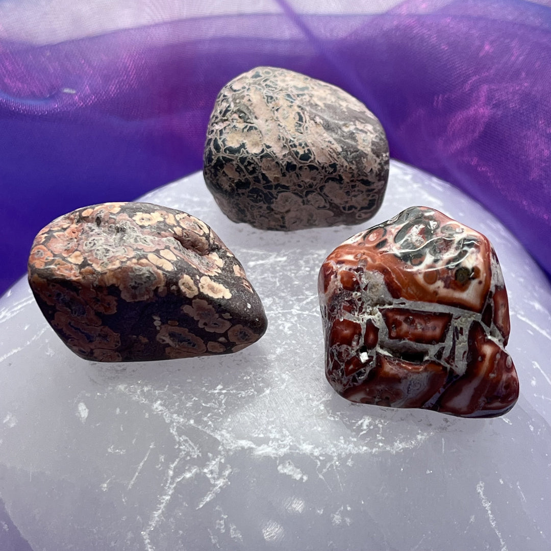 Jasper Leopard Skin Tumble Stone