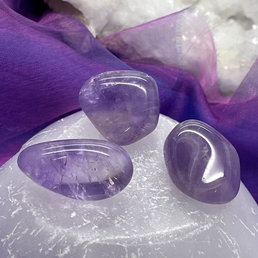 Amethyst Tumbled Stone | Carpe Diem With Remi