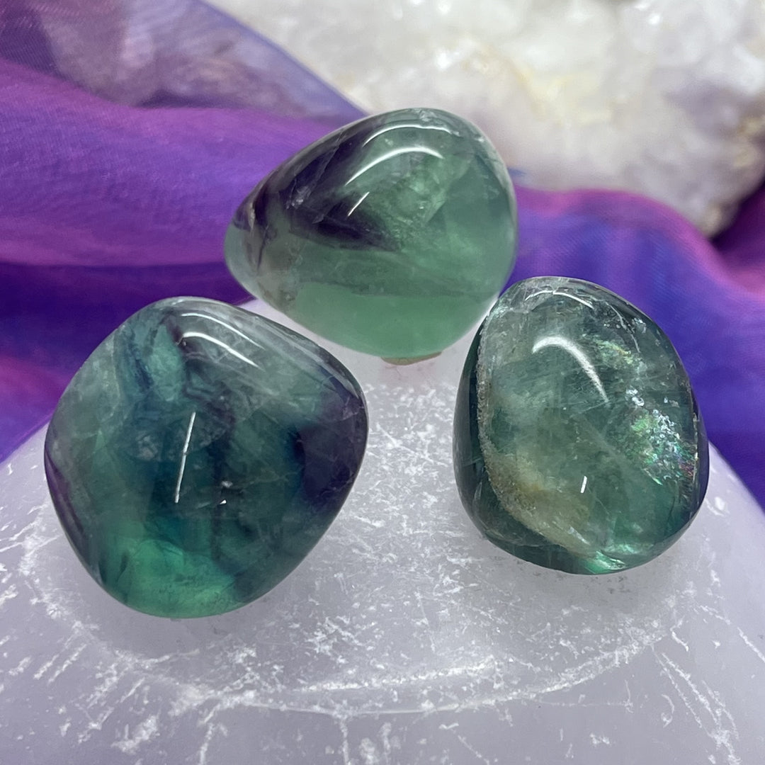 Fluorite Green Tumble Stone - Study