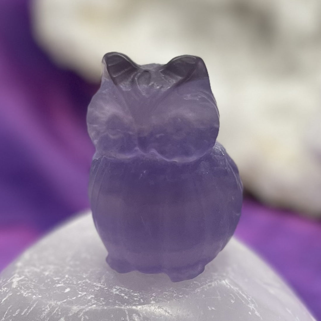 Owl Fluorite Purple 5.8 cm