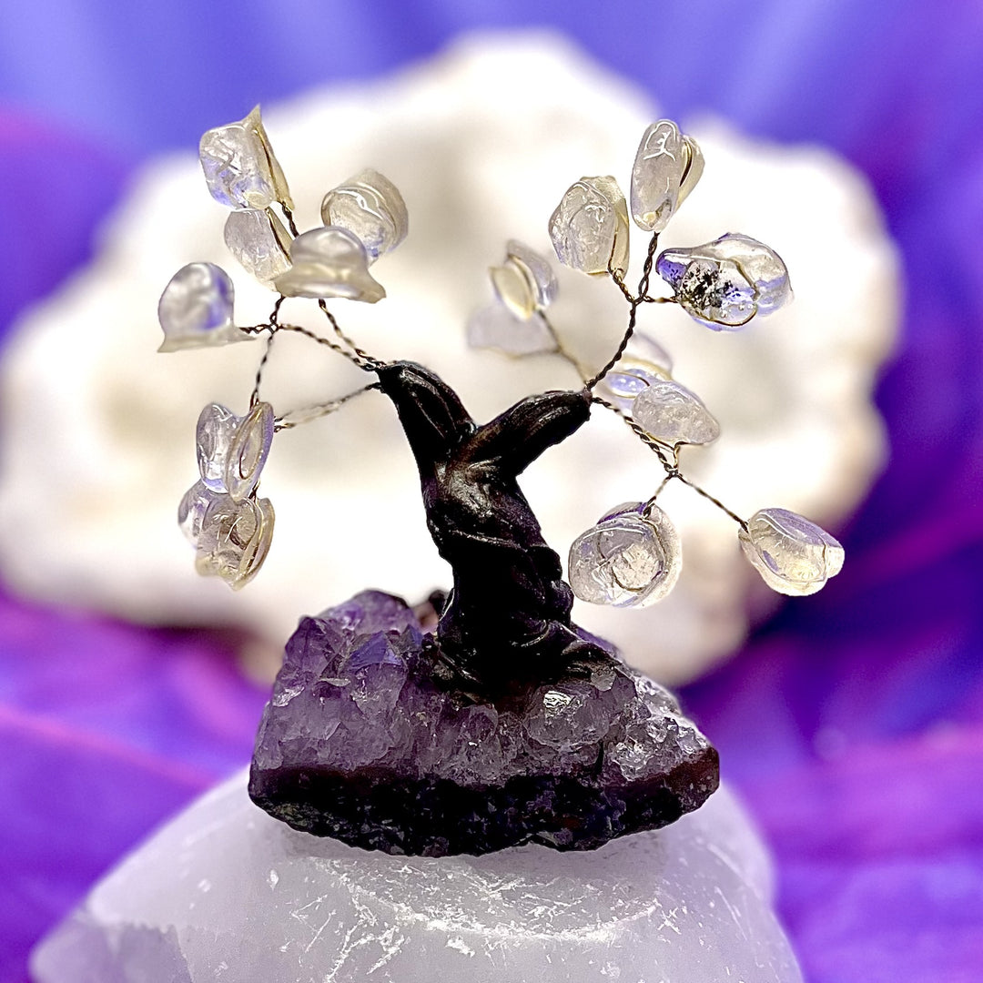 Clear Quartz Bonsai Tree with Amethyst Base 9.7 cm