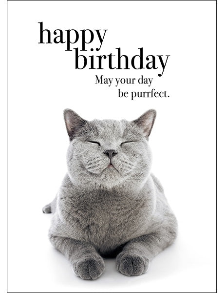 Birthday Card Purrfect Day | Carpe Diem With Remi